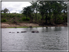 foto Parco nazionale del Chobe